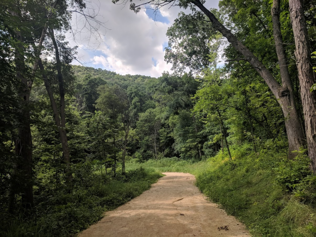 Hiking in Hixon Forest is a fun thing to do with kids in La Crosse, WI